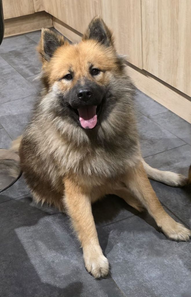 Vanille Du Domaine De Grande Esperance